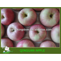 Vendre Chine qinguan apple Brother Kingdom